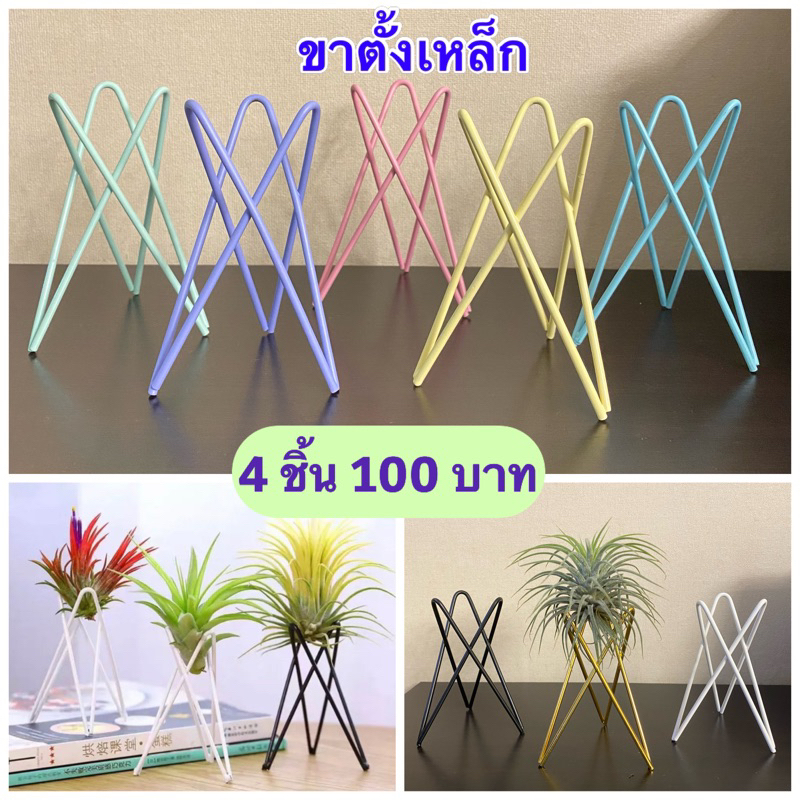 #ขาตั้งต้นไม้ #ขาตั้งเหล็ก #ขาตั้งเหล็กมินิมอล #ถ่ายจากสินค้าจริง #พร้อมส่งจากไทย