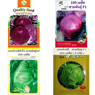 เมล็ด กะหล่ำม่วง กะหล่ำปลี สีม่วง  100 / 500 เมล็ด  Red cabbage  สายพันธุ์ F1 / OP