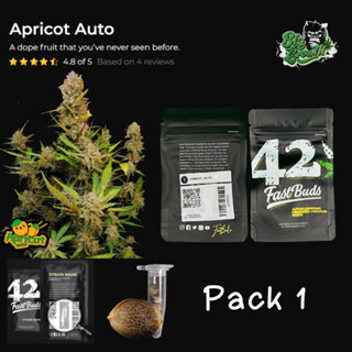 เมล็ดกัญชา Apricot Auto - Fastbuds แพ็ค1เมล็ด