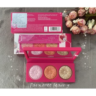 ลิมิเตด ป้ายไทย ลด30% Clinique Cheek Pop Palette Set 3สี