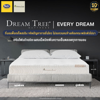 [New Collection] Dream Tree ที่นอนพ็อกเก็ตสปริง รุ่น Every Dream  หนา 12 นิ้ว ขจัดปัญหาการสั่นไหว ไม่รบกวนคนข้างเคียงขณะพลิกตัวไปมา แถมฟรีหมอนหนุน 2 ใบ + หมอนข้าง 2 ใบ ส่งฟรี