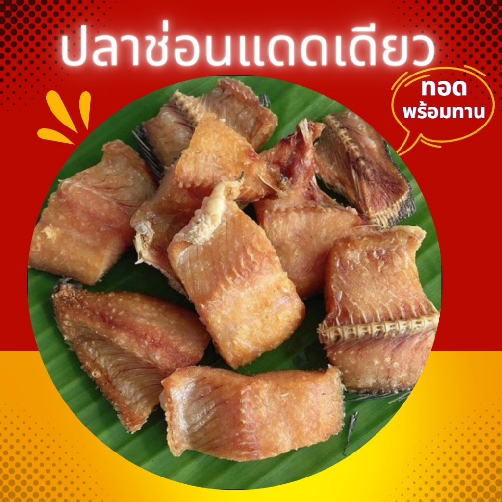🔥น่ากิน ชิ้นใหญ่🔥ปลาช่อนแดดเดียวทอด ทอดเหลืองน่ากิน ไม่หืน สูตรเค็มน้อย นน.ก่อนทอด 300g.
