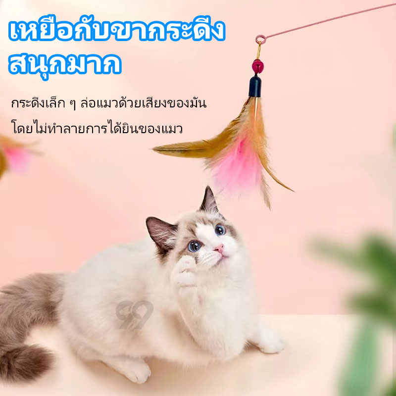 99PET ของเล่นแมว ไม้ตกแมว ไม้ล่อแมว ของเล่นแมวถูกๆ ไม้แมว ของเล่นน้องแมว สหลากหลายรูปแบบ ไม้ตกแมวแบบสปริง ไม้ล่อแมว