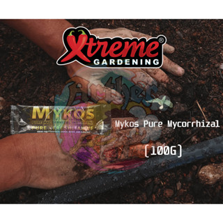 Xtreme Gardening Mykos Pure Mycorrhizal ไมโครเซอร์รา ปุ๋ยระเบิดรากพรีเมี่ยม 100กรัม