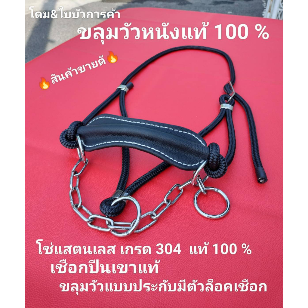 ขลุมวัวหนังแท้ เม่าวัว เค่างัว เชือกปีนเขาแท้ อย่างดี  โซ่แสตนเลสแท้ เกรด 304 แท้ 100 % แบบประกับมีตัวล็อคเชือก