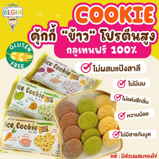 Begin คุ้กกี้ข้าวผสมเนื้อสัตว์และผัก Gluten Free ขนมเด็ก โปรตีนสูง วิตามินสูง หวานน้อย ละลายในปาก คุกกี้ ข้าว คุกกี้เด็ก