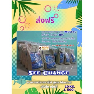 อาหารปลาคาร์ฟSee Change💥ส่งฟรี💥เห็นชัดถึงการเปลี่ยนแปลง บรรจุ10kg สูตรMuscel สีน้ำเงิน เสริมสร้างโครงสร้างและกล้ามเนื้อ