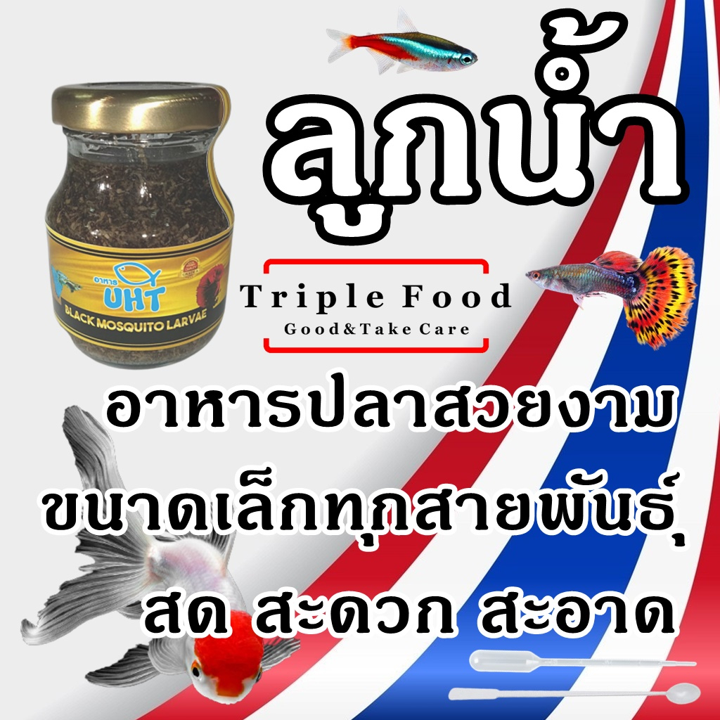 อาหารปลา ลูกน้ำ UHT Fish Food อาหารปลากัด ปลาหางนกยูง ปลานีออน อาหารปลาสวยงาม ลูกน้ำอัดเม็ด ลูกน้ำปล