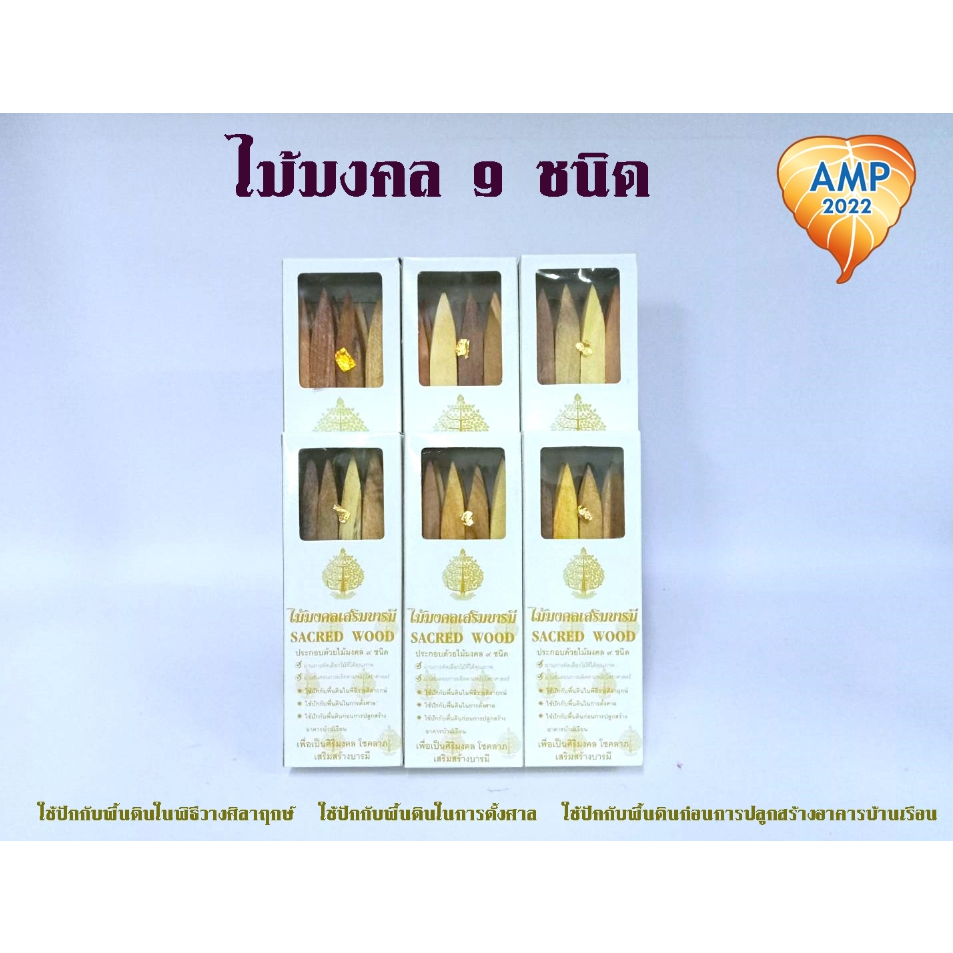 Amen ไม้มงคล ไม้มงคล 9 ชนิด เสริมบารมี (ราคาต่อ 1 ชุด)