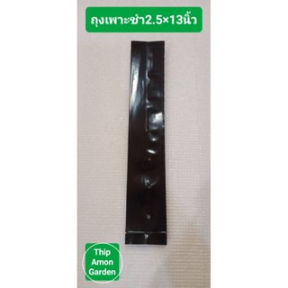 ถุงเพาะชำสีดำขนาด 2.5×13 จำนวน 100 ใบ