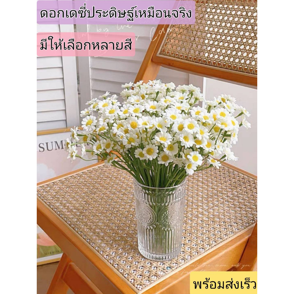 ดอกเดซี่(มีหลายสี)สัญลักษณ์ของความไร้เดียงสา และความรักที่บริสุทธิ์ ดอกไม้ให้แฟน ดอกไม้ให้คนรัก (พร้อมส่ง) Daisy