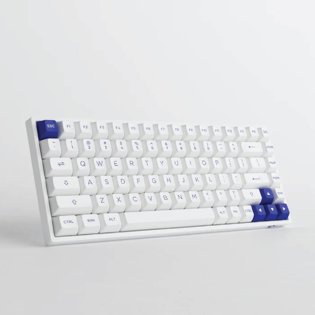 คีย์บอร์ด AKKO 3084B Plus Blue on White RGB Hotswap 2.4GHz Bluetooth Wireless 75% Mechanical Keyboard