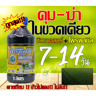 บิวทาคลอร์ +โพรพานิล ยาคุม ฆ่าหญ้า ยาคุมหญ้า สารกำจัดวัชพืช งอก คุม+ฆ่าหญ้า ในนาข้าว หลังหว่าน7-15 วัน