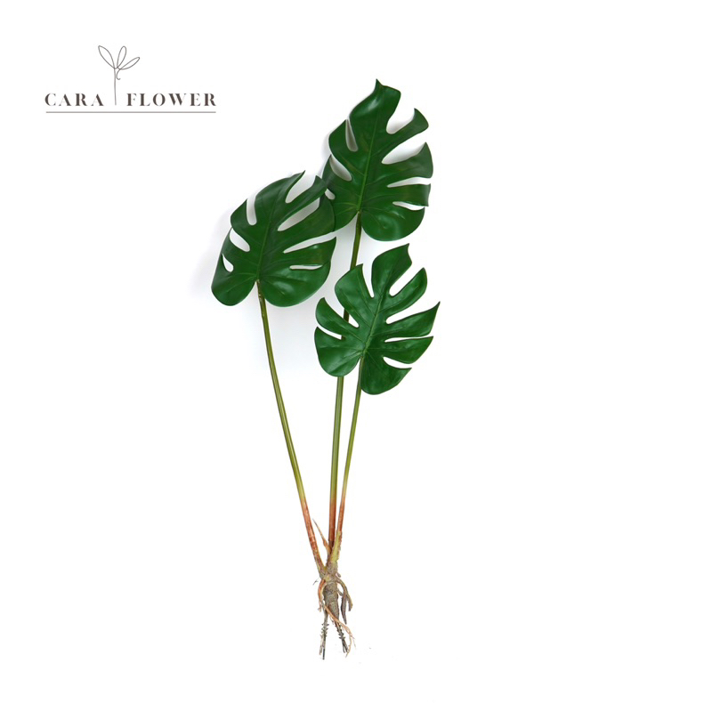 Monstera#1 | มอนสเตอร่าปลอม ต้มไม้ปลอม ตกแต่งบ้าน (M02) [พร้อมส่ง]