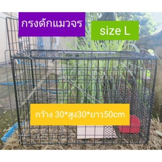 กรงจับแมวจร Size L สปริงคู่ 30*30*50cm