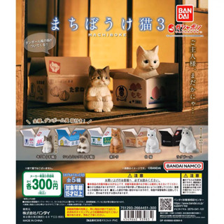 พร้อมส่ง🐱 กาชาปอง Machiboke cat box 3