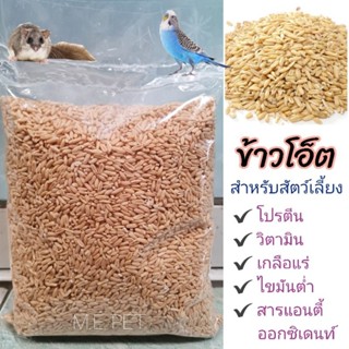 ข้าวโอ๊ต ข้าวโอ็ต สำหรับนก แฮมเตอร์ กระรอก 1กิโล