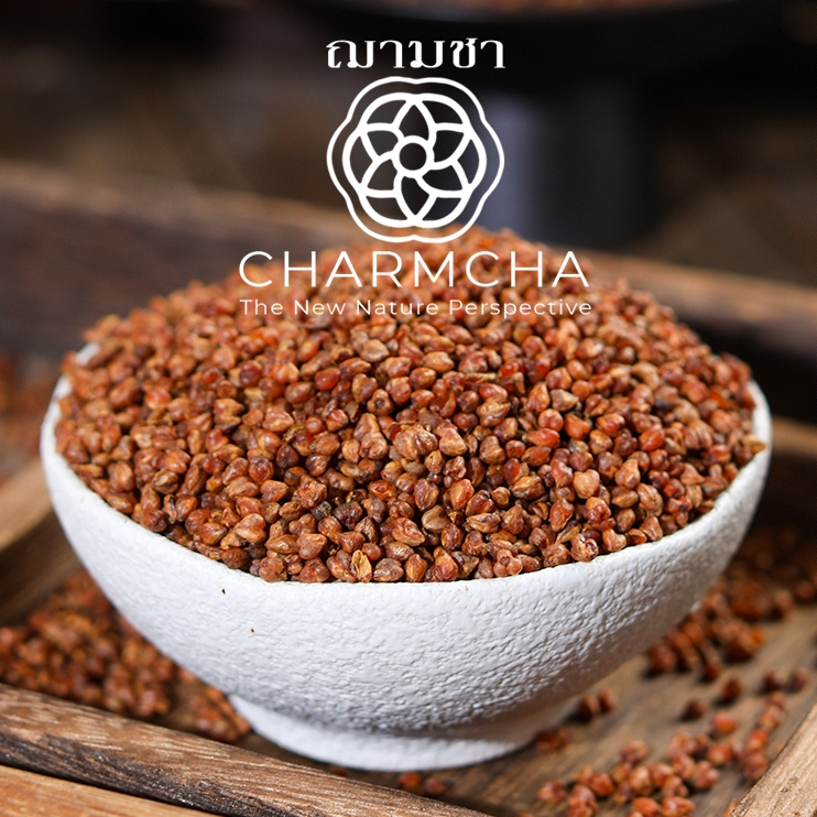 ชาบัควีท หรือ บักวีต (Buckwheat Tea)บัควีททอง ดำ เมล็ดธัญพืชที่นำมาชงดื่มเป็นชาอุดมไปด้วยสารอาหา Charmcha ฌามชา ชาดอกไม้