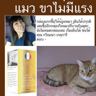 Calfle X แมว 30 เม็ด อาหารเสริมสำหรับแมว ขาไม่มีแsง