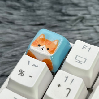 XDA keycap แมวส้มขาว