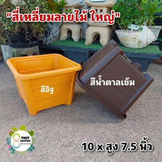 กระถาง สี่เหลี่ยม ลายไม้ ใหญ่ 10 นิ้ว // กระถางแคคตัส กระถางพลาสติก กระถางเกษตร