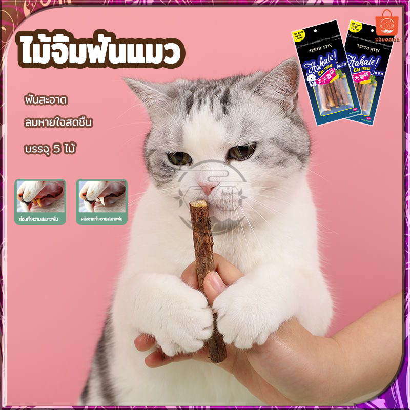 ไม้มาทาทาบิ ไม้ขัดฟันแมว ก้านมาทาทาบิ ไม้แมวเมา ไม้แปรงฟันแมว ขนมแมว 5 ไม้/1ซอง