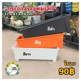 กระถาง รางหมู เล็ก 17x47x16 cm. // กระถางแคคตัส กระถางพลาสติก กระถางเกษตร