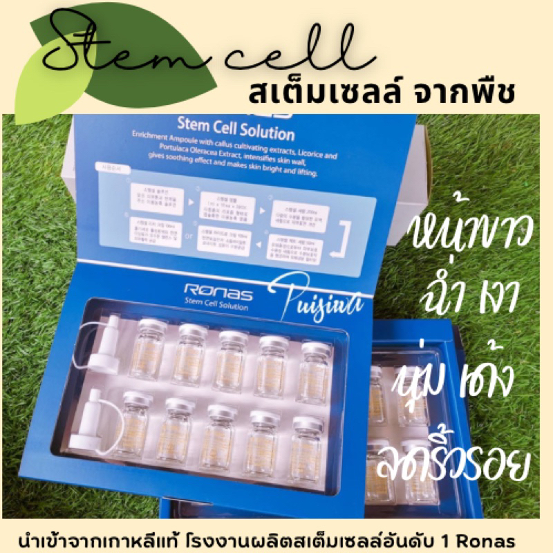 Stem​Cell-solution​Ronas.เซรั่มแอมพูลเข้มข้นแบ่งขายหน้าเด็กใสตึงสุดจากเกาหลี​ปริมาณ5ml.Exp2026