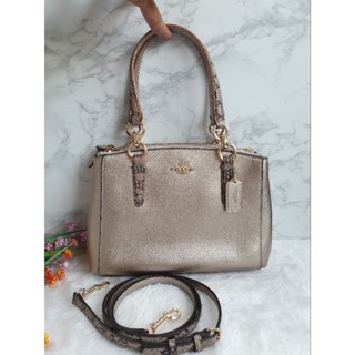 Mini Christie Carryall in Metalllic Leather with Exotic Trim Coach F55515