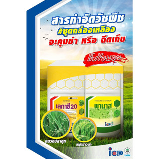 ชุดยาฉีดหญ้าในนาข้าว🌾เลกาซี 20 + พานาส(บิสไพริแบกโซเดียม100 กรัม + พานาส50มล. ข้าวอายุ15-30วัน