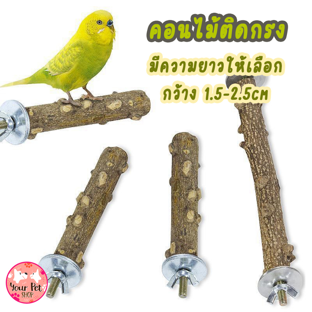 คอนไม้ ไม้ธรรมชาติ คอนลับเล็ก Bird มีที่ยิดติด นกแก้ว ฟอพัส หงส์หยก คอนัวร์ เลิฟเบิร์ด นกฟินซ์