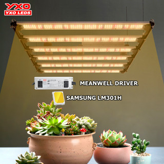 การเจริญเติบโตของไฟ LED 2400W 3200W ซัมซุง LM301H ไดร์เวอร์เตือนภัยต้นไม้ Meanwell ไดร์เวอร์ช่วยให้ต้นไม้เติบโตแสงได้อย่างรวดเร็ว