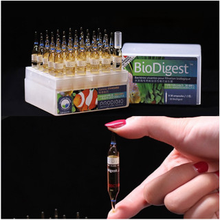 Prodibio Bio Digest แบคทีเรียสำหรับตู้ปลาลดของเสีย แอมโมเนีย ไนเตรท ไนไตรท ของแท้จากฝรั่งเศษ ใบโอไดเจท จำนวน 1 หลอด