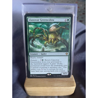 การ์ด MTG Llanowar Greenwidow Green Magic the Gathering รุ่น DMU สภาพ Nm