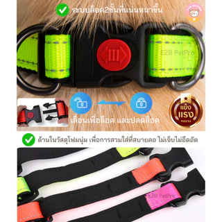 ใหม่ ปลอกคอสุนัข ระบบล็อค2ชั้น ปลอกคอPandaชนิดทนทาน สีสดใสชัดมาก C036