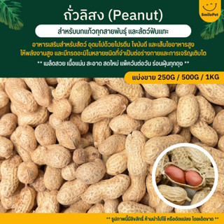 ถั่วลิสง เกรดA นำเข้า อาหารนกแก้ว หนูแฮมสเตอร์ และสัตว์ฟันแทะ (แบ่งขาย 250G / 500G / 1KG)