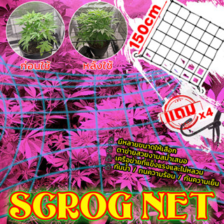 เตรียมส่ง!Scrog net  ตาข่ายปลูกต้นไม้  ตาข่ายปลูก ตาข่าย ปลูกต้นไม้ ตาข่ายยืดหยุ่น ขนาด120*120cm/150*150cm เพิ่มผลผลิต