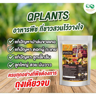 อาหารพืช Q PLANTS สูตร 2+ สาหร่าย ฮิวมิค 1 กิโลกรัม คิวแพลนท์