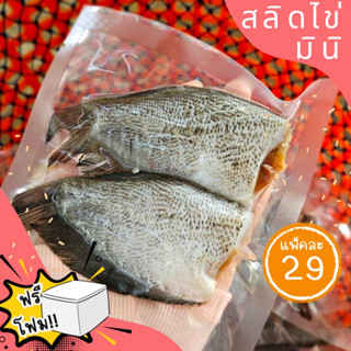 🐟ปลาสลิดมินิ🐟 สลิดแพ็ค สลิดฟรีส สลิดราคาถูก ปลา ‼️ฟรีโฟม‼️