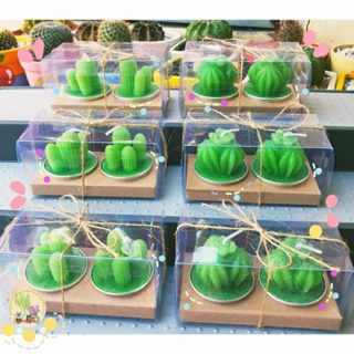 🌵(พร้อมส่งในไทย)🌵เทียน ทรงแคนตัสจิ๋ว