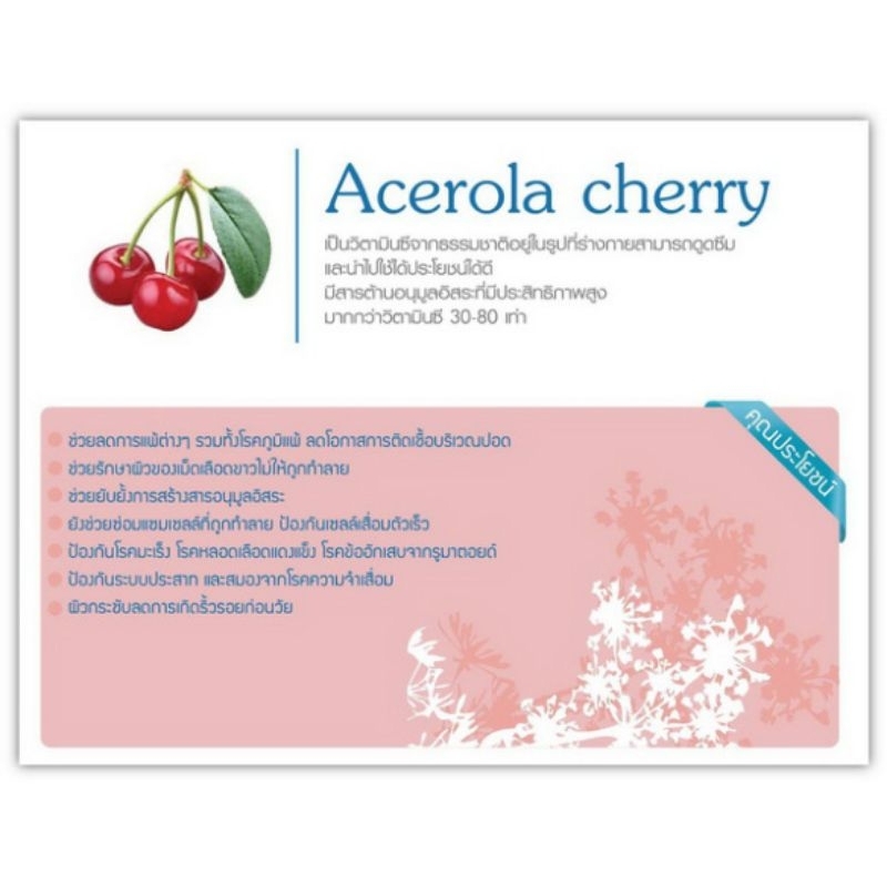 Phyto SC stemcell  or sojung ไฟโต เอสซี สเต็มเซลล์ หรือ โชจัง พร้อมส่งแท้ 100% ราคา ถูกที่สุด ดีลบีเคเค แกลเลอรีภาพที่ 7