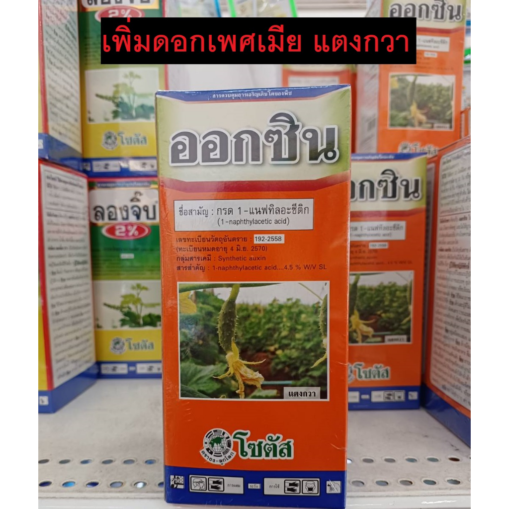 ออกซิน (Auxin) 1-naphthylacetic acid เปลี่ยนเพศดอก เพิ่มดอดเพศเมีย เพิ่มผลผลิต แตงกวา อาหารเสริมพืช 