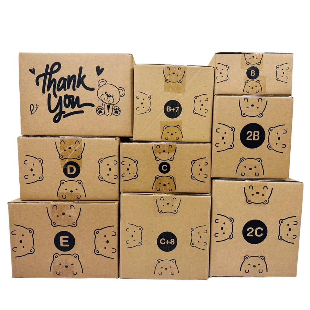 ชุด 10 ใบ กล่องพัสดุพิมพ์ลายหมี  D E 2C c+8