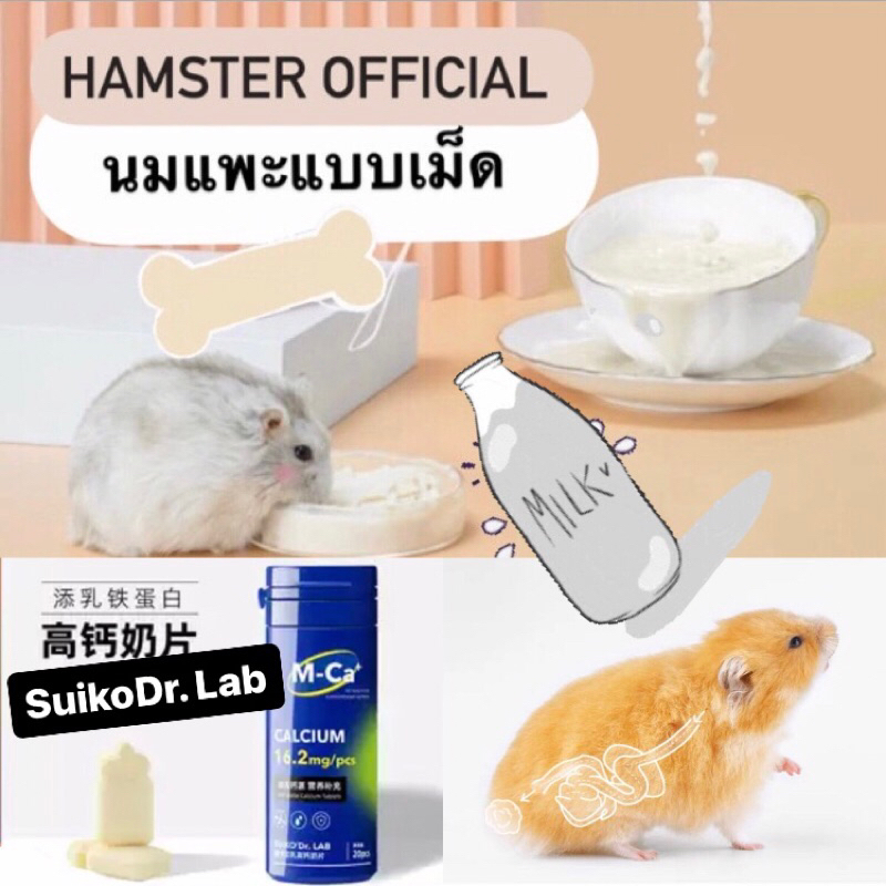 อาหารเสริม วิตามิน นมแพะ มารุคัง ไบโอติก สัตว์เลี้ยง ขนม เต้าหู้ ไซรัป แฮมเตอร์ ดอเมาส์ กระต่าย แมว หมา Hamster Official