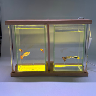 ตู้ปลา โหลปลา2ช่อง โหลปลากัด ตู้ปลาขนาดเล็กมีไฟ