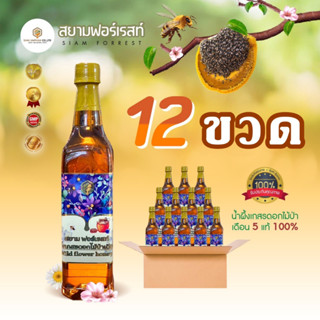 🌳น้ำผึ้งเกสรดอกไม้ป่าเดือน5แท้ 🐝🍯ตรา สยาม ฟอเรสต์ 🌳🍯ชุด 12 ขวด🌳🍯แพ็คเกจขวดเหลี่ยม✅