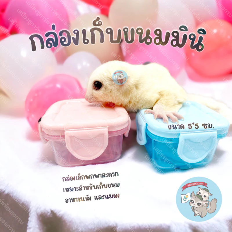 V ( กระปุกขนมมินิ ) ใส่ขนม กระปุกใส่ขนม กระปุกจิ๋ว กล่องจิ๋ว กระปุกมินิ กล่องมินิ กล่องพกพา กระปุกพกพา ชูการ์
