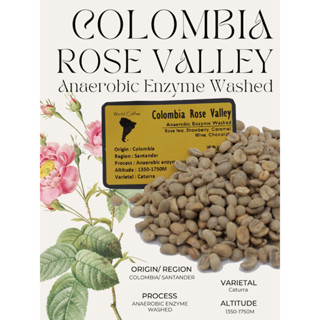 พร้อมส่ง เมล็ดกาแฟ Colombia Rose Valley anaerobic enzyme washed process/ เมล็ดกาแฟนอก/ สารกาแฟโคลัมเบีย