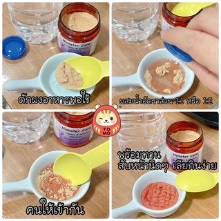 ร้านโทโมะ 💕 Hamster Care โดยหมอแกมม่า Gamma Exotic pet อาหารเสริม แฮมสเตอร์ ป่วย ชรา ผ่าตัด กระตุ้นภูมิ อาหารผง