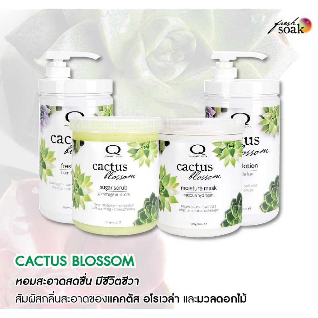 เซตสปา Qtica Smart Spa ไซส์ใหญ่ 4 step 🌵𝐂𝐚𝐜𝐭𝐮𝐬 𝐁𝐥𝐨𝐬𝐬𝐨𝐦🏵 กลิ่นแคคตัสอโรเวล่า หอมสะอาด Made in USA🇺🇸